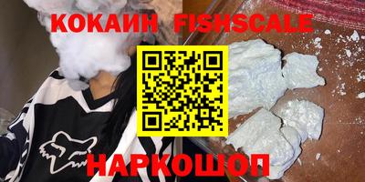индика Усть-Джегута