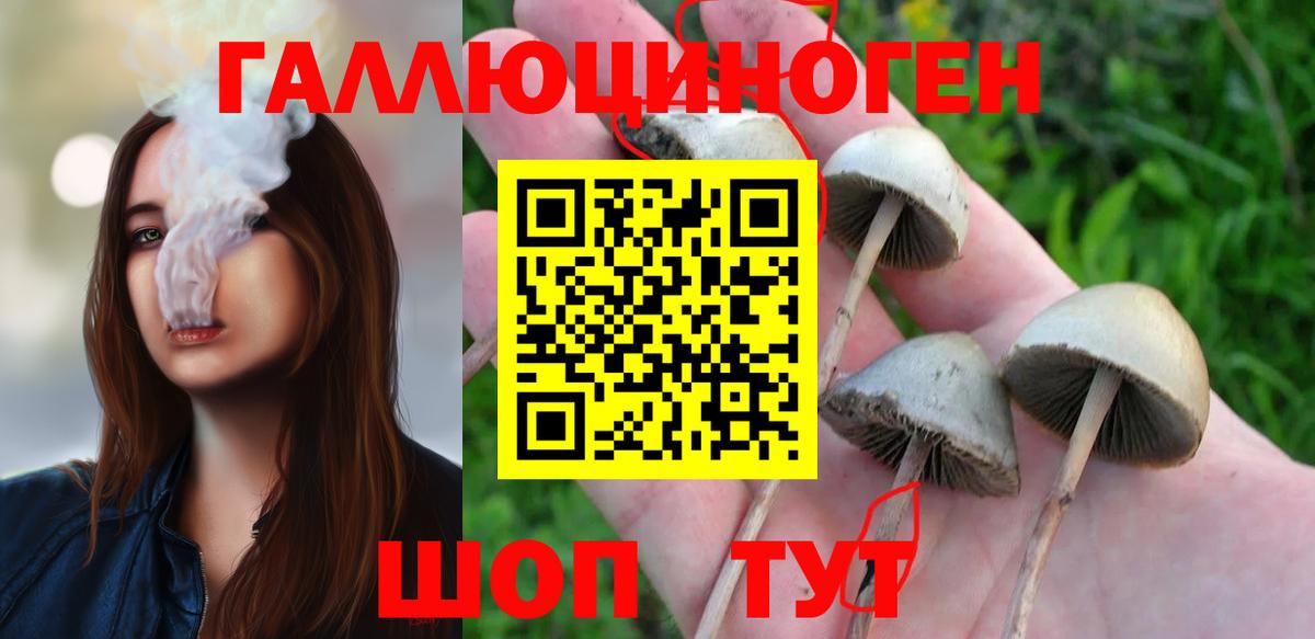 Псилоцибиновые грибы мухоморы Коломна