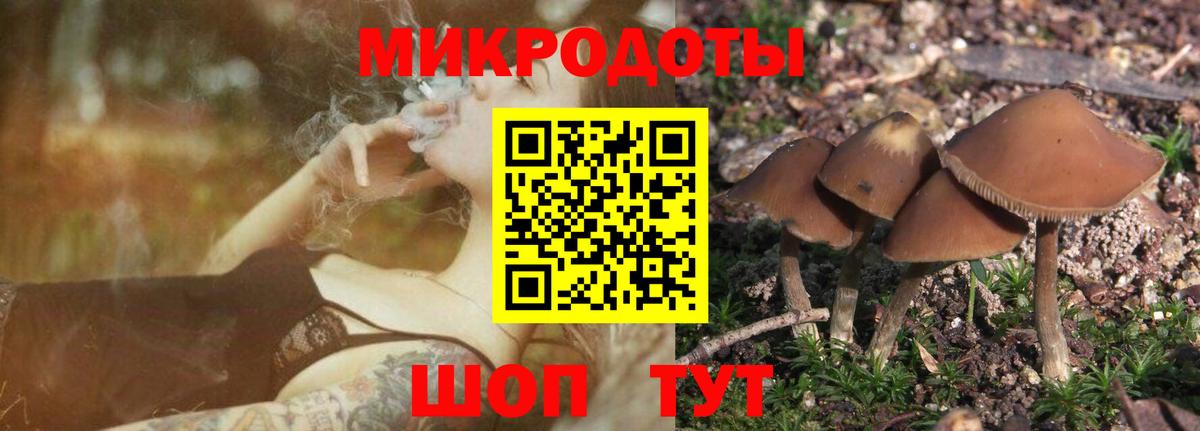 Коломна  Галлюциногенные грибы мицелий  Вход с VPN  Псилоцибиновые грибы Magic Shrooms 
